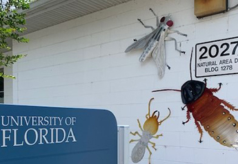The Urban Entomology Lab has some new insect art decorating the entrance. Go have a look when you have a chance!